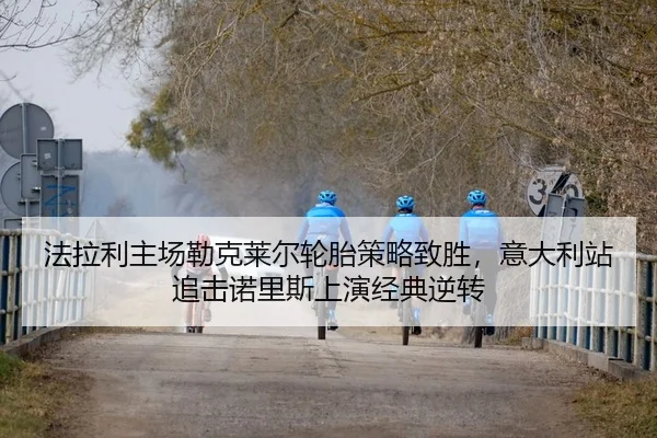 fa-la-li-zhu-chang-lei-ke-lai-er-lun-tai-ce-lve-zhi-sheng-yi-da-li-zhan-zhui-ji-nuo-li-si-shang-yan-jing-dian-ni-zhuan-2-312.jpg